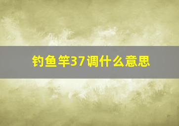 钓鱼竿37调什么意思