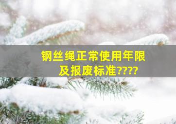 钢丝绳正常使用年限,及报废标准????