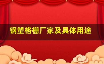 钢塑格栅厂家及具体用途