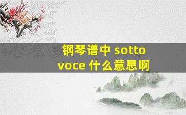 钢琴谱中 sotto voce 什么意思啊 