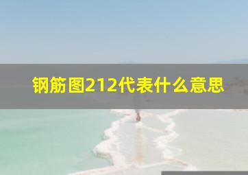 钢筋图2(12代表什么意思