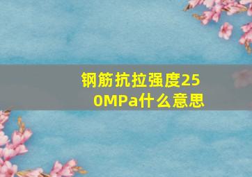 钢筋抗拉强度250MPa什么意思