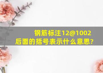 钢筋标注12@100(2)后面的括号表示什么意思?