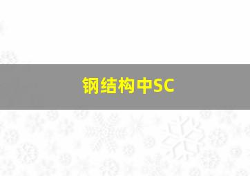 钢结构中SC