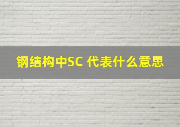 钢结构中SC 代表什么意思