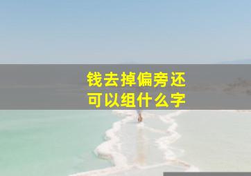 钱去掉偏旁还可以组什么字(