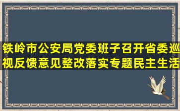 铁岭市公安局党委班子召开省委巡视反馈意见整改落实专题民主生活会