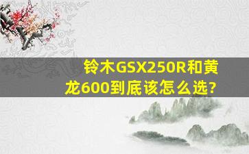 铃木GSX250R和黄龙600到底该怎么选?