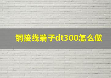 铜接线端子dt300怎么做