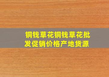 铜钱草花铜钱草花批发、促销价格、产地货源 