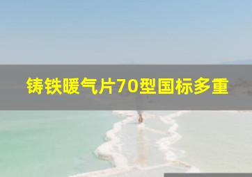 铸铁暖气片70型国标多重