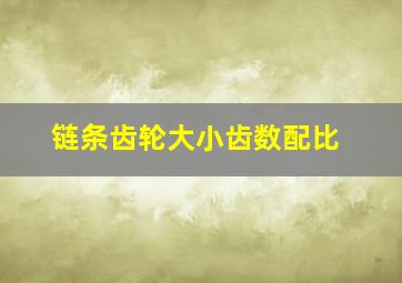 链条齿轮大小齿数配比(