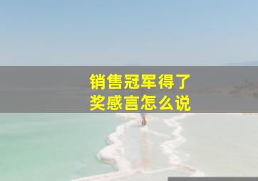 销售冠军得了奖感言怎么说