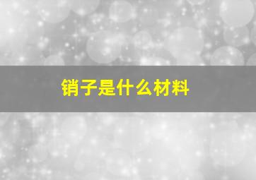 销子是什么材料