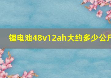 锂电池48v12ah大约多少公斤(