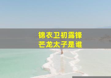 锦衣卫初露锋芒龙太子是谁