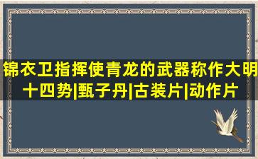 锦衣卫指挥使青龙的武器称作大明十四势|甄子丹|古装片|动作片