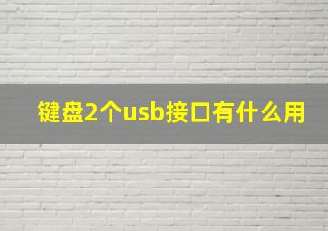 键盘2个usb接口有什么用