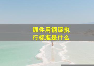 锻件用钢锭执行标准是什么(