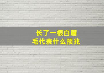 长了一根白眉毛代表什么预兆