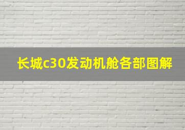 长城c30发动机舱各部图解