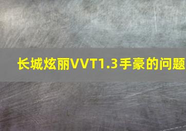 长城炫丽VVT1.3手豪的问题