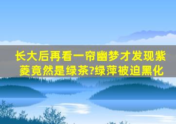 长大后再看《一帘幽梦》,才发现紫菱竟然是绿茶?绿萍被迫黑化