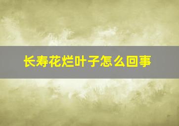 长寿花烂叶子怎么回事