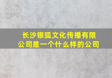 长沙银狐文化传播有限公司是一个什么样的公司(