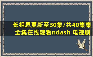 长相思(更新至30集/共40集集)  全集在线观看– 电视剧 