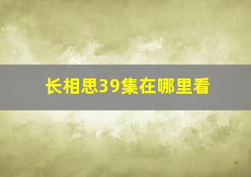 长相思39集在哪里看