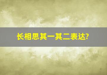 长相思其一其二表达?