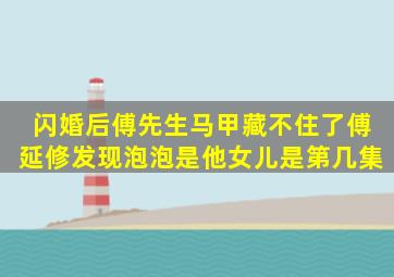 闪婚后傅先生马甲藏不住了傅延修发现泡泡是他女儿是第几集