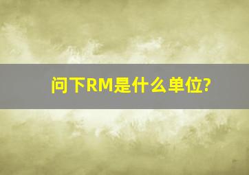 问下RM是什么单位?