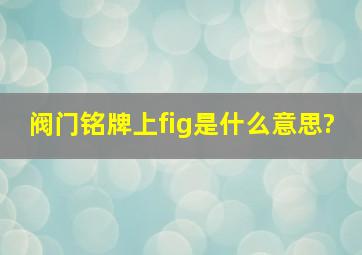 阀门铭牌上fig是什么意思?