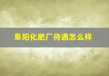 阜阳化肥厂待遇怎么样