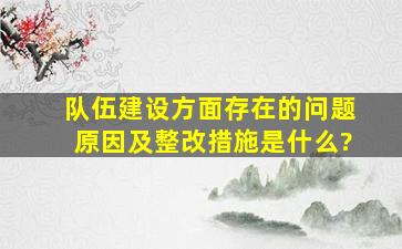 队伍建设方面存在的问题原因及整改措施是什么?