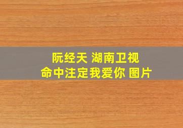 阮经天 湖南卫视 命中注定我爱你 图片