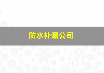 防水补漏公司