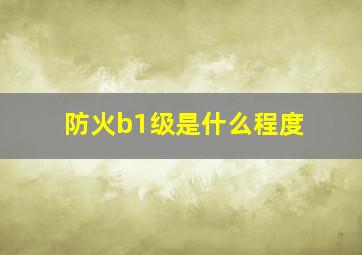 防火b1级是什么程度(