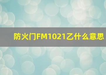防火门FM1021乙什么意思