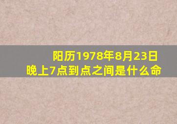 阳历1978年8月23日晚上7点到点之间是什么命