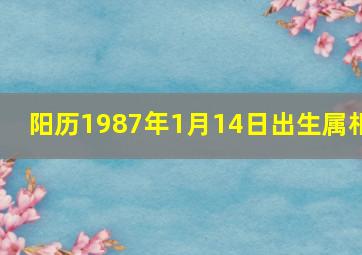 阳历1987年1月14日出生属相