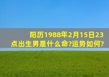 阳历1988年2月15日23点出生(男)是什么命?运势如何?