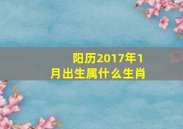 阳历2017年1月出生属什么生肖