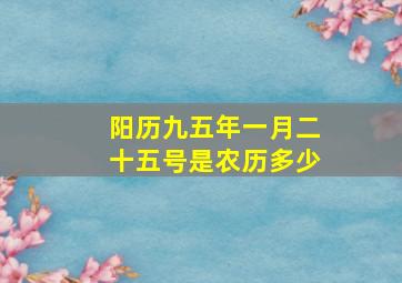 阳历九五年一月二十五号是农历多少