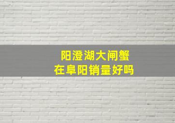 阳澄湖大闸蟹在阜阳销量好吗