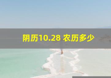 阴历10.28 农历多少