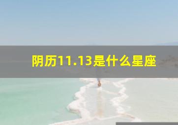 阴历11.13是什么星座