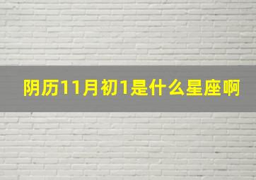 阴历11月初1是什么星座啊